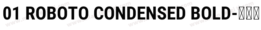 01 ROBOTO CONDENSED BOLD字体转换